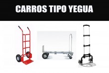 CARROS TIPO YEGUA