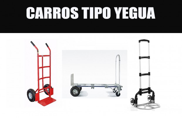 CARROS TIPO YEGUA